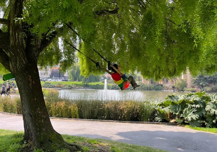 Vine Swing