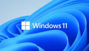 Windows 11 preview build