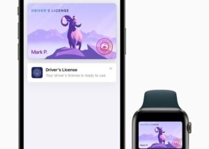 Apple Wallet