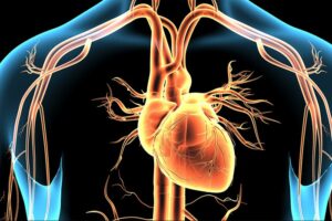 New AI algorithm can spot unseen heart attack signals