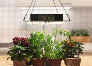 Octopus smart LED grow light