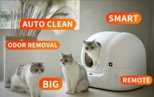 Petkit Pura Max cat litter box