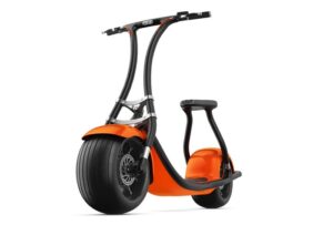 Rolley electric scooter