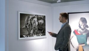 Samsung YellowKorner
