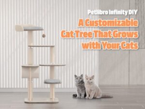 Petlibro Infinity modular cat tree