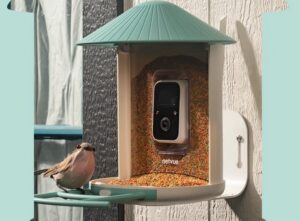 camera bird feeder