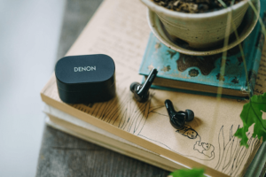 Denon Noise Cancelling Earbuds