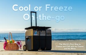 portable cooler