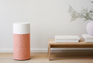 Blueair air purifier
