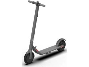 Segway Ninebot E22