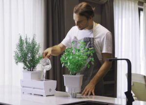smart indoor garden Kickstarter