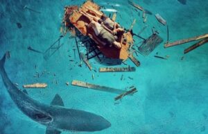 The Requin