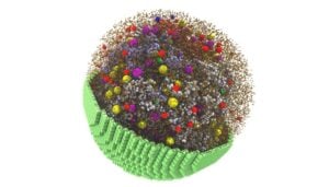 living cell simulation