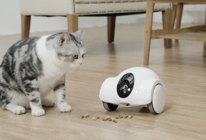 smart robot pet companion treats