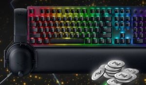 RazerStore Rewards program