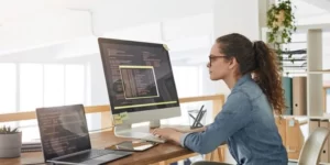 Software Development