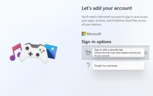 Windows 11 Pro Microsoft Account