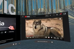 Wolvic VR browser