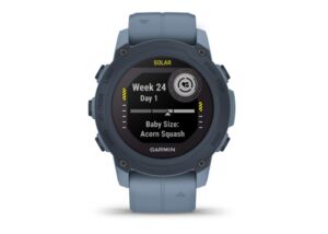 Garmin Descent G1