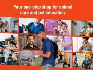 Holly & Hugo Pet eLearning Lifetime Subscription