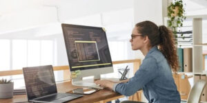 Software Development Processes