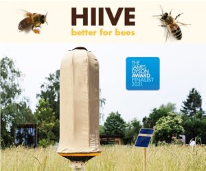 HIIVE bee hive