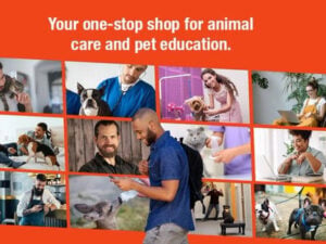 Holly & Hugo Pet eLearning
