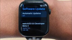 WatchOS 8.6 Beta 3