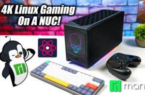 Linux gaming
