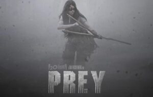 Predator film Prey