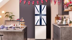 Samsung Bespoke Jubilee Fridge