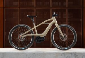 electric mountain bike