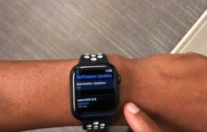 watchOS 8.6