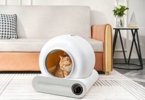 automatic self-cleaning cat litter box