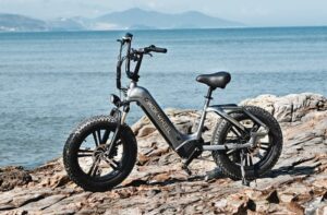 Mokwheel Basalt off-road electric bike