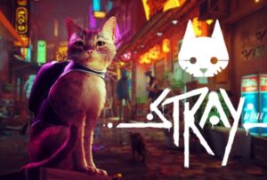 Stray cat adventure