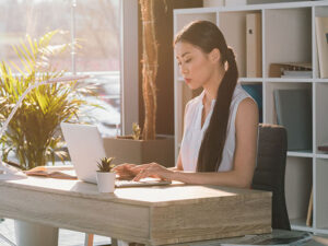Ultimate Productivity Bundle