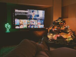 netflix additional homes
