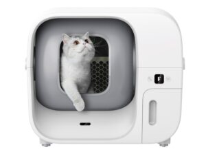 Furbulous self-cleaning cat litter box