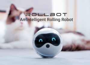 Rollbot robot pet companion