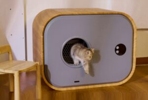 Self-cleaning cat litter box