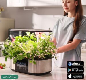 hydroponic indoor garden