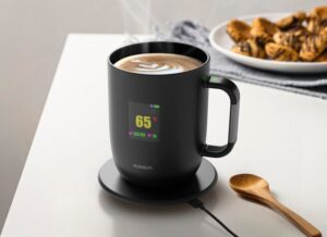 temperature controlled heated mug