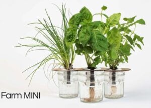 Bottle Farm Mini indoor garden