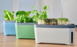 Harry Herbs indoor garden planter