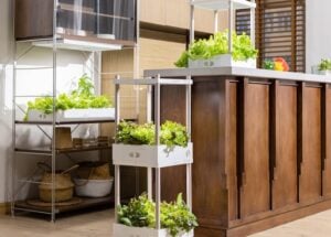Verda Garden indoor garden