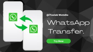 WhatsApp Transfer using iToolab WatsGo