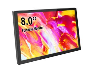 portable LCD display