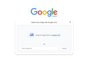 How to use Google image search