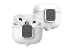 Apple AirPods case